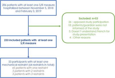 Characteristics and correlates of seclusion and mechanical restraint measures in a Parisian psychiatric hospital group